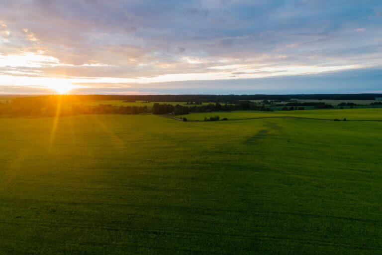 Sunset over an open green landscape, symbolizing growth, possibility, and moving forward without rushing the destination.